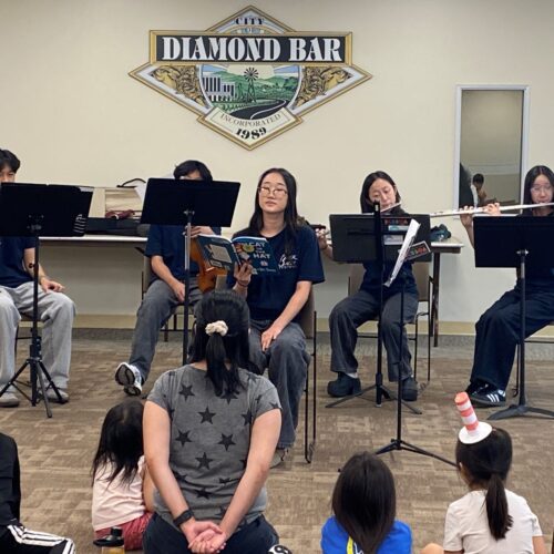 Cat in the Hat Musical Adventure