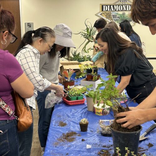 Plant Swap